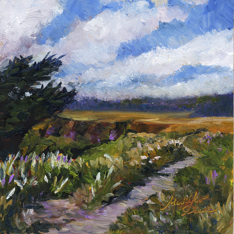 Trail on the Headlands
