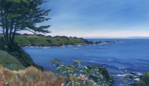 Sunny Mendocino Coast